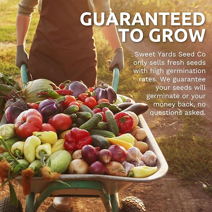 Organic Herb Seeds Variety Pack - 35 Individual Packs - 2025 Season - Basil, Cilantro, Dill, Thyme, Parsley and More! for Indoor & Outdoor Planting (Non-GMO, Certified Organic)