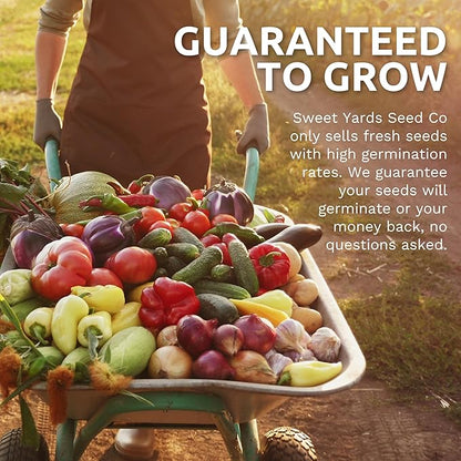 Organic Herb Seeds Variety Pack - 35 Individual Packs - 2025 Season - Basil, Cilantro, Dill, Thyme, Parsley and More! for Indoor & Outdoor Planting (Non-GMO, Certified Organic)