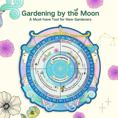 LUSH&DEW Gardening Gift for Women Men, Zodiac Garden Seed Bank, 12 Types Non-GMO Vegetables Flower Seeds in Seed Organizer, Magnetic Gift Box, Witchcraft Supplies, Air Signs Taurus Virgo Capricorn