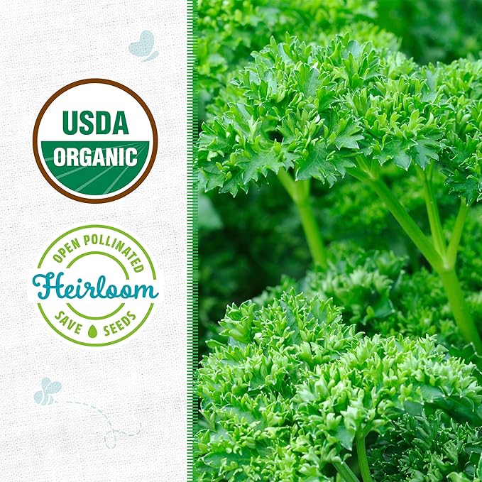 Back to The Roots 100% Organic Heirloom Seeds - Parsley Value Pack (840mg Total)
