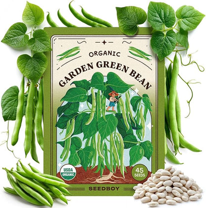 Seedboy Organic Green Bean Seeds for Planting Indoor and Outdoor, Non-GMO and USDA Certified Vegetable Seed Packet for Hydroponic Garden Indoor or Planting Outdoors (Provider Green Beans)