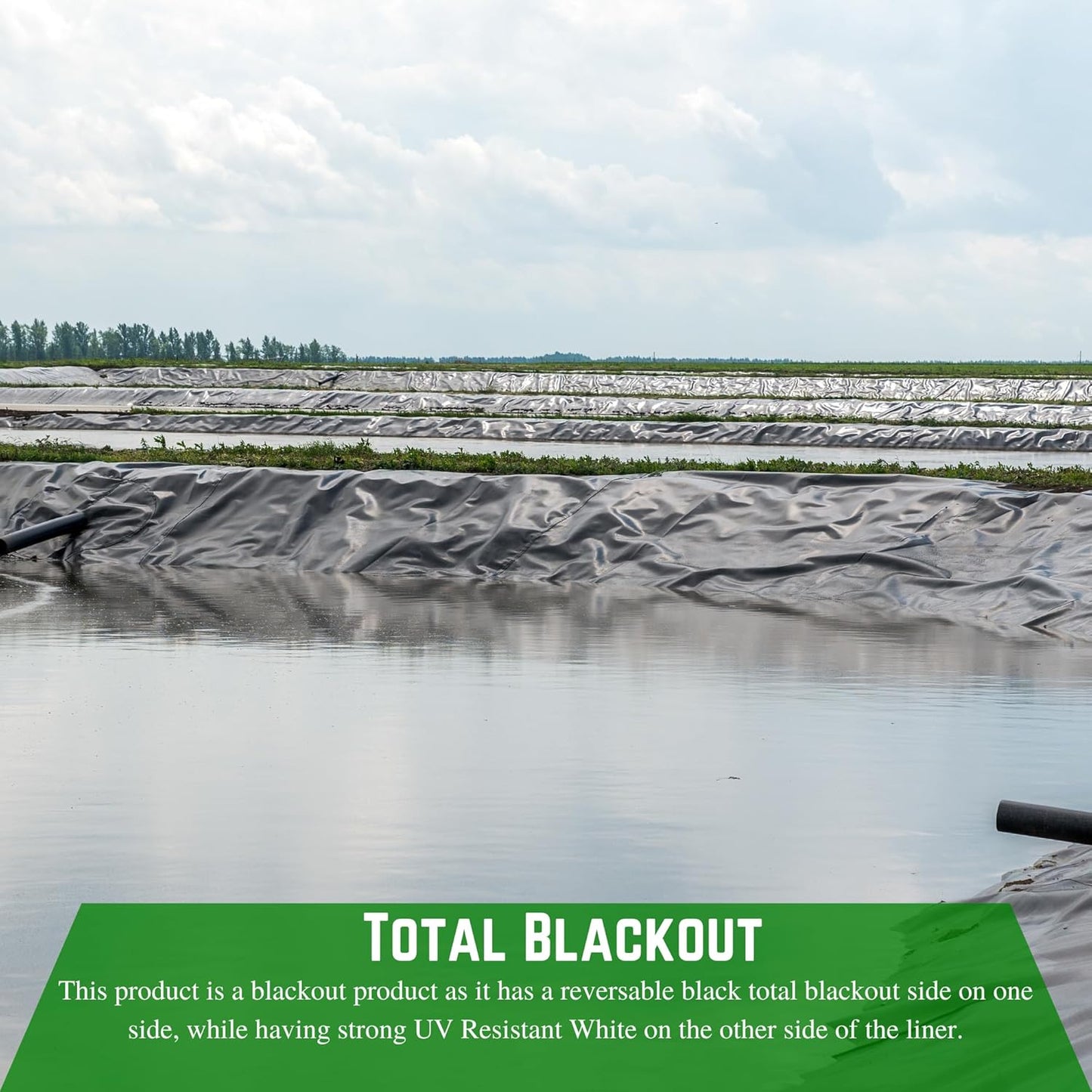 Farm Plastic Supply Dura-Smooth Hydroponics Plastic Liner 20 mil Black/White - Hydroponic Growing Kit, Hydroponic Liner, Hydroponics, Hydroponic Growing, Pond Liner, Durasmooth (12' x 75')