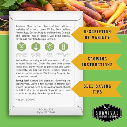 Fall & Winter Vegetable Seed Collection – 8 Packs of Non-GMO Heirloom Seeds for Planting Vegetables | Autumn & Indoor Gardening Seed Pack – Survival Garden Seeds