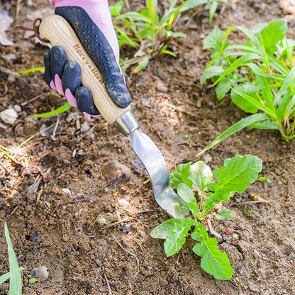Berry&Bird Hand Weeder Tool, Stainless Steel Gardening Weed Puller, 12.1" Manual Weeding Removal Cutter Tool with Ash Wood Handle for Planting, Weeding, Flower & Vegetable Care in Garden Lawn Yard