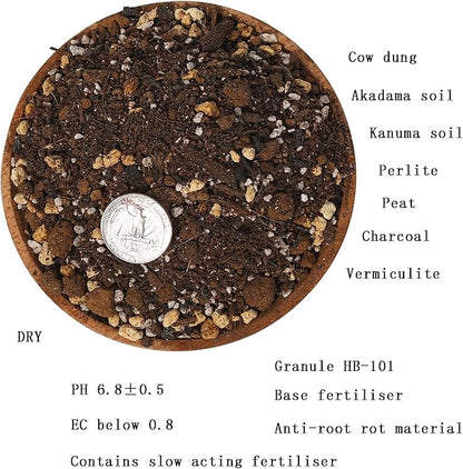 Rose Potting Soil Mix (6 L) Made in Japan