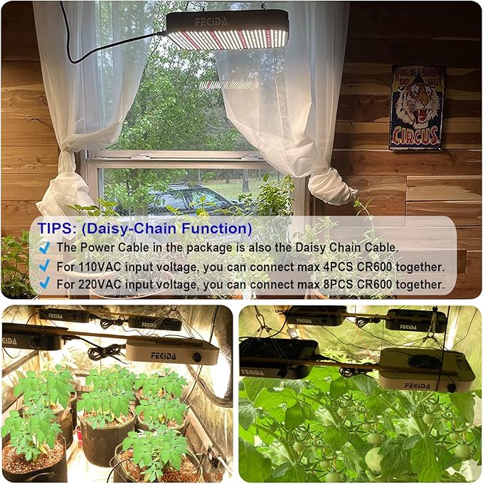 FECiDA 600W Equivalent LED Grow Light, 65W True Power Full Spectrum Plant Light, 0–100% Dimmable, Daisy Chain, Quiet Cooling Fan for Indoor Plants Seedling Veg Bloom