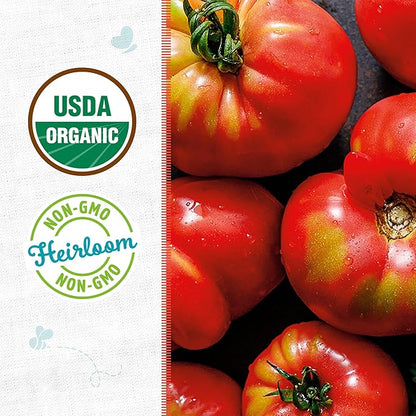 Back to The Roots 100% Organic Heirloom Seeds - Brandywine Tomato Value Pack (200mg Total)