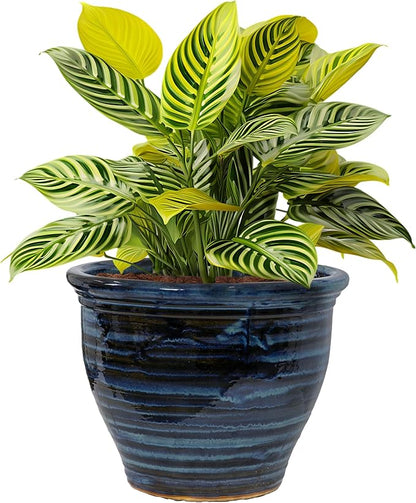 Sunnydaze Large Ceramic Plant Pot - Round Outdoor Glazed Ceramic Planter Pot with Drainage - Studio - Galaxy Blue - 18.5"