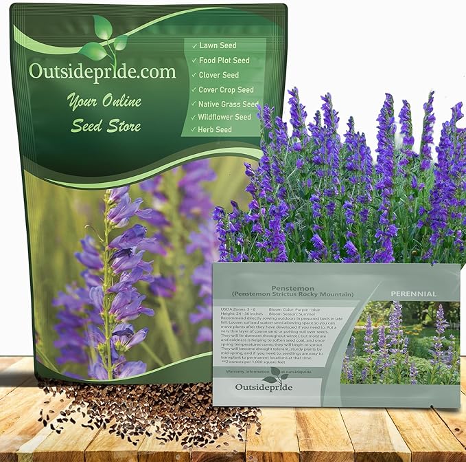 Outsidepride Penstemon Seeds - 1 Lb. Perennial, Drought-Tolerant & Pollinator Friendly, Strictus Rocky Mountain Wildflower Seeds for Planting with Vibrant Blue-Violet Blooms, Ideal for Xeriscaping