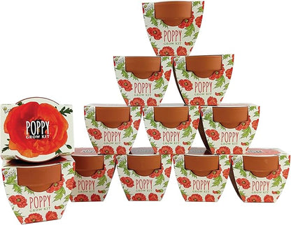 BUZZY Seeds 12-Pack Poppy Grow Kit – Mini Terracotta Pots with Poppy Seeds and Growing Medium – Bulk Gardening Gifts, Wedding Favors, Classroom Activities, and Party Favor Flower Kits