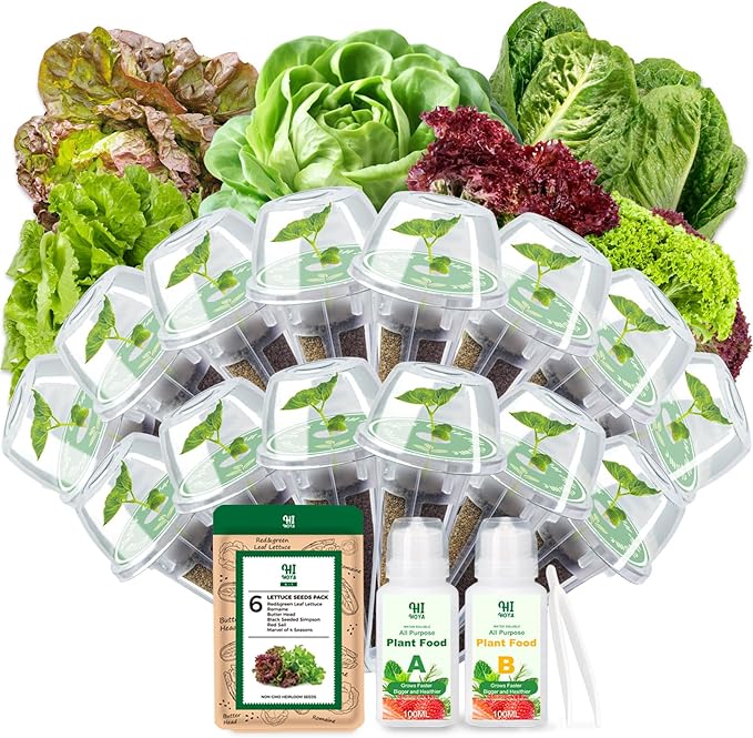 Salad Greens Seed Pod Kit, Grow Anything Kit for All Hydroponics Growing System, 14 Pods with 600+ Seeds of Red&Green Leaf/Romaine/Butter Head/Black Seeded Simpson/Red Sail and Marvel of 4 Seasons