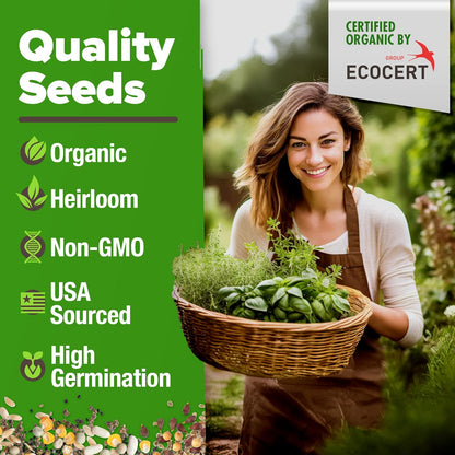 HOME GROWN 𝗢𝗥𝗚𝗔𝗡𝗜𝗖 15 Herb Seeds Variety Pack 2,500+ 𝗡𝗢𝗡-𝗚𝗠𝗢 𝗨𝗦𝗔 High-Germinating Heirloom Seeds for Planting Indoor Outdoor Herb Garden Hydroponics Garden Seeds, Basil Cilantro & More