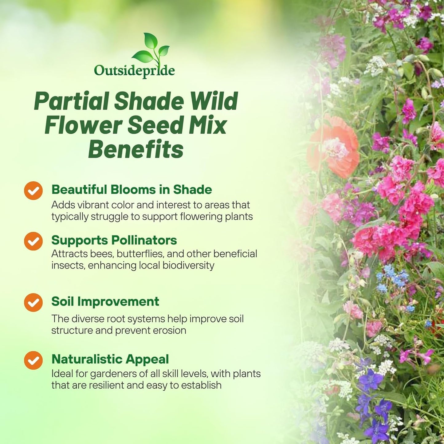 Outsidepride Partial Shade Wild Flower Seed Mix for All States - 1 lb. Premium Blend of Annual & Perennial Wildflowers, Perfect for Partial Shade Areas, & Outdoor Planting for Gardens & Lawns