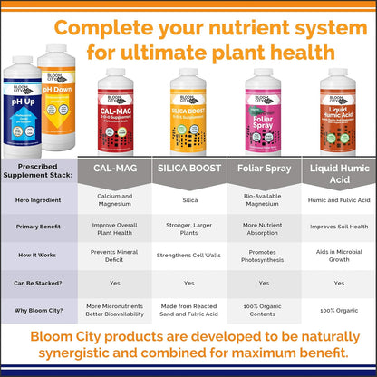 Bloom City Professional pH Up + Down Control Kit for Optimal Nutrient Uptake (Two 1 Quart Bottles) 64 Total oz