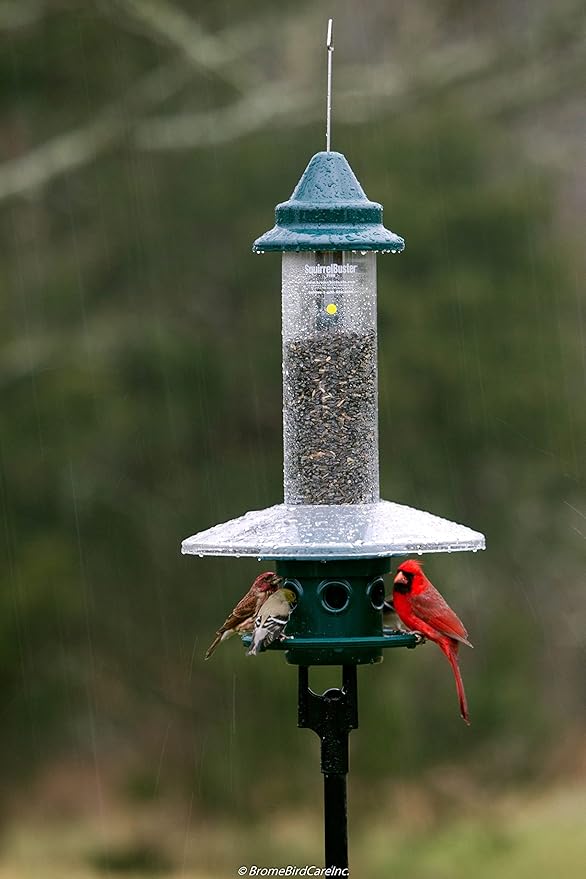 Squirrel Buster Plus Squirrel-proof Bird Feeder w/Cardinal Ring and 6 Feeding Ports, 5.1-pound Seed Capacity, Adjustable, Pole-mountable (POLE ADAPTOR SOLD SEPARATELY), Green