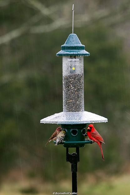 Squirrel Buster Plus Squirrel-proof Bird Feeder w/Cardinal Ring and 6 Feeding Ports, 5.1-pound Seed Capacity, Adjustable, Pole-mountable (POLE ADAPTOR SOLD SEPARATELY), Green