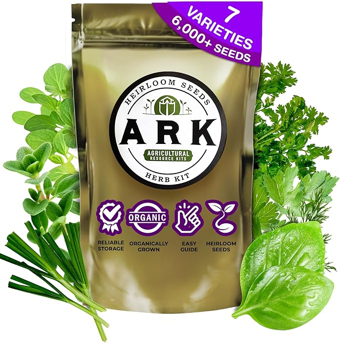 Herb Kit - 6,000+ Seeds for Cilantro, Basil, Dill, Oregano, Parsley, Chives, and Thyme - for Fresh Cooking - Grow Indoors or Outdoors - Ideal for Beginners and Gardening Enthusiasts