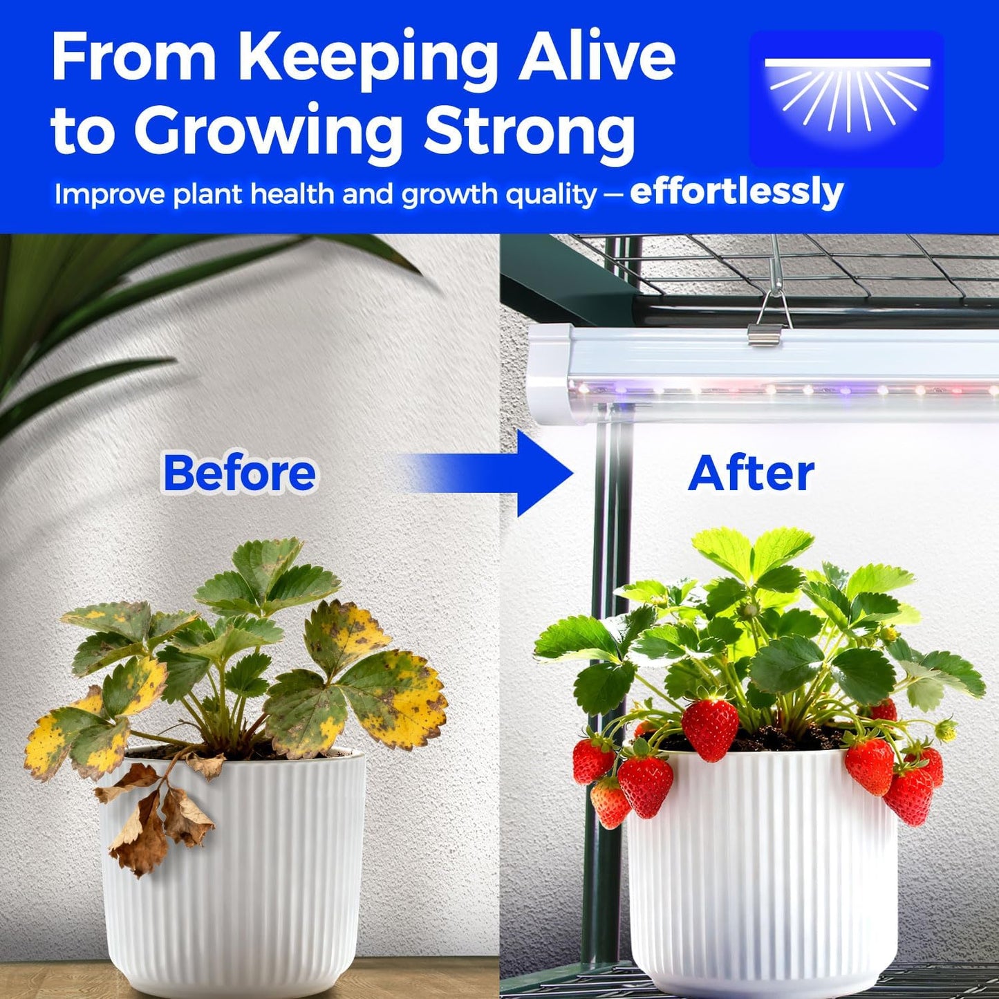 Indoor Greenhouse with Grow Light, Ohuhu 4-Tier Mini Green House for Winter - Full Spectrum Greenhouses for Seed Starting Small Portable Green Houses Waterproof PVC Cover & Adjustable Shelves