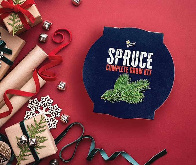 BUZZY Seeds All-in-One Spruce Tree Grow Kit Holiday Pail with Non-GMO Seeds, Growing Medium, Red Pail and Easy Instructions | Fun Indoor Gardening Project, Great Gift for Gardeners, Stockiing Stuffer