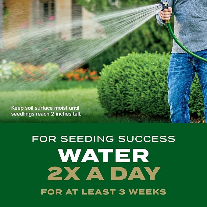 Scotts Turf Builder Rapid Grass Southern Gold Blend for Tall Fescue Lawns, Combination Seed and Fertilizer, 16 lbs.