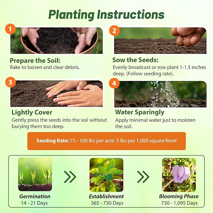 Outsidepride Austrian Winter Peas Seeds for Planting – 10 lbs Bag (Cool-Season Cover Crop, High-Protein Deer Food Plot Seed) Field Peas, Cover Crop Seeds, Spring Mix for Soil Health & Forage