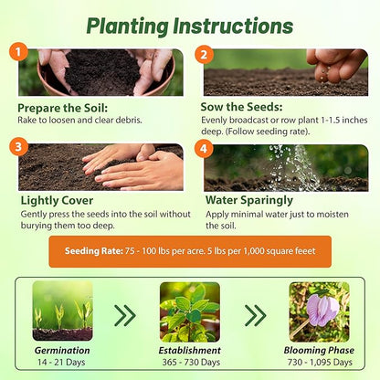 Outsidepride Austrian Winter Peas Seeds for Planting – 1 lbs Bag (Cool-Season Cover Crop, High-Protein Deer Food Plot Seed) Field Peas, Cover Crop Seeds, Spring Mix for Soil Health & Forage