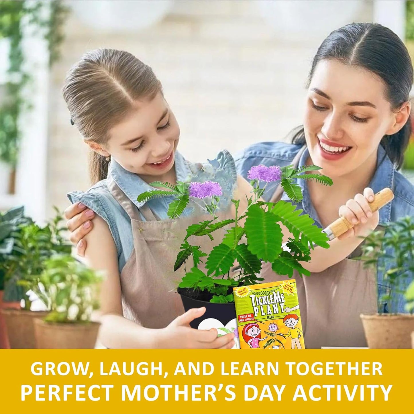 Happy Birthday Mom TickleMe Plant Gift Box Set to Grow A Touch-Sensitive Shy Plant That Closes Its Leaves When You Tickle Or Blow A Kiss | Fun Interactive Grow Kit with Seeds, Pot, Soil, Instructions