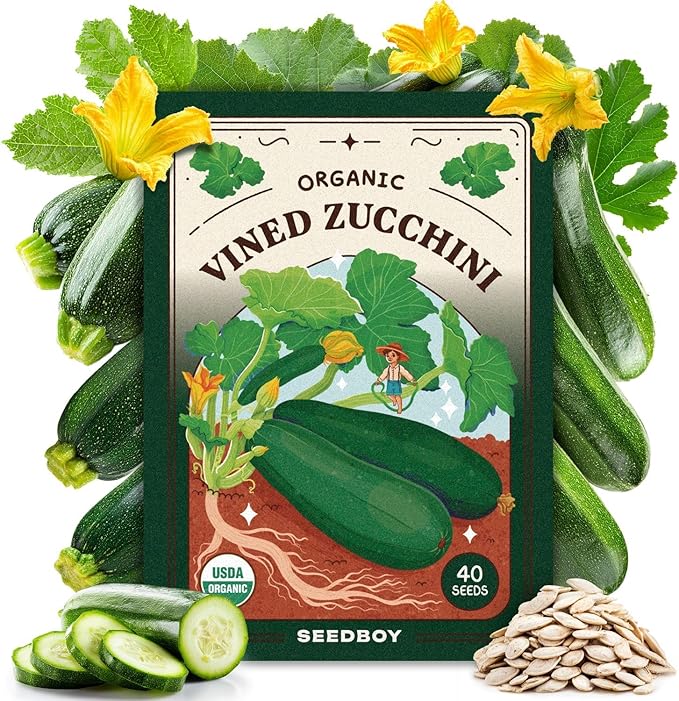 Seedboy Organic Zucchini Seeds for Planting Indoor and Outdoor, Non-GMO and USDA Certified Vegetable Seed Packet for Hydroponic Garden Indoor or Planting Outdoors (Black Beauty Zucchini)