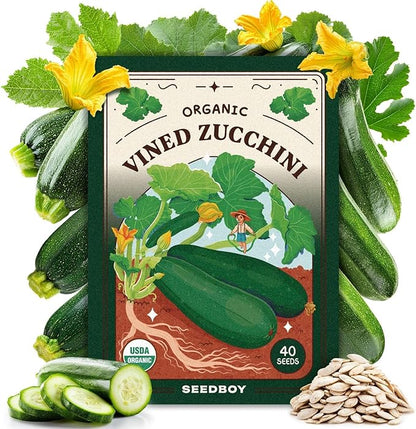 Seedboy Organic Zucchini Seeds for Planting Indoor and Outdoor, Non-GMO and USDA Certified Vegetable Seed Packet for Hydroponic Garden Indoor or Planting Outdoors (Black Beauty Zucchini)