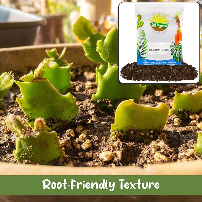Christmas Cactus Potting Soil Mix (4 Quarts), Custom Blend for Xmas, Easter, and Thanksgiving Cactus Tropical Indoor Houseplants