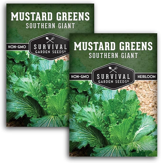 Southern Giant Mustard Green Seeds for Planting – Heirloom Non-GMO Spicy Greens, Heat Tolerant and Slow to Bolt for Home Vegetable Gardens - Survival Garden Seeds (2 Packs)