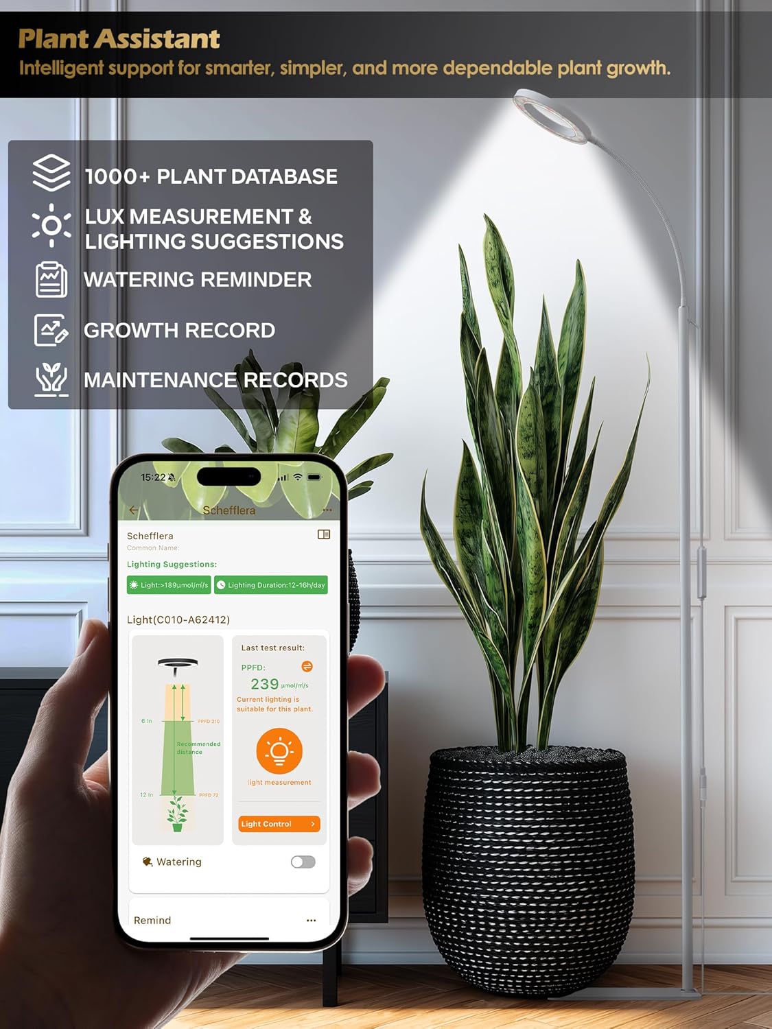 GLOWRIUM Smart Grow Lights for Indoor Plants with Auto Timer, Full Spectrum LED Floor Plant Light for 3 Spectrum Modes,6 Dimmable Levels,63inch Adjustable Height for Large Plants (White, 20W)