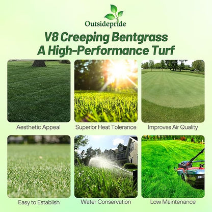 Outsidepride V8 Creeping Bentgrass Seed - 2 lbs. Fine-Bladed, Premium Quality Turf, Grass Seeds for Smooth Surface, & High-Traffic Areas, Ideal Grass for Golf Courses Putting Greens, & Fairways