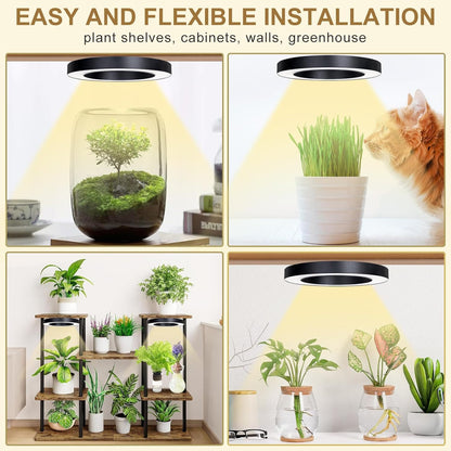 Full Spectrum Grow Light for Indoor Plants, 144 LEDs Halo Plant Light with Auto On/Off Timer (4/8/12H), 10-Level Brightness, 3 Lighting Modes, for Small Plants & Seedlings (Black, Dual Head)