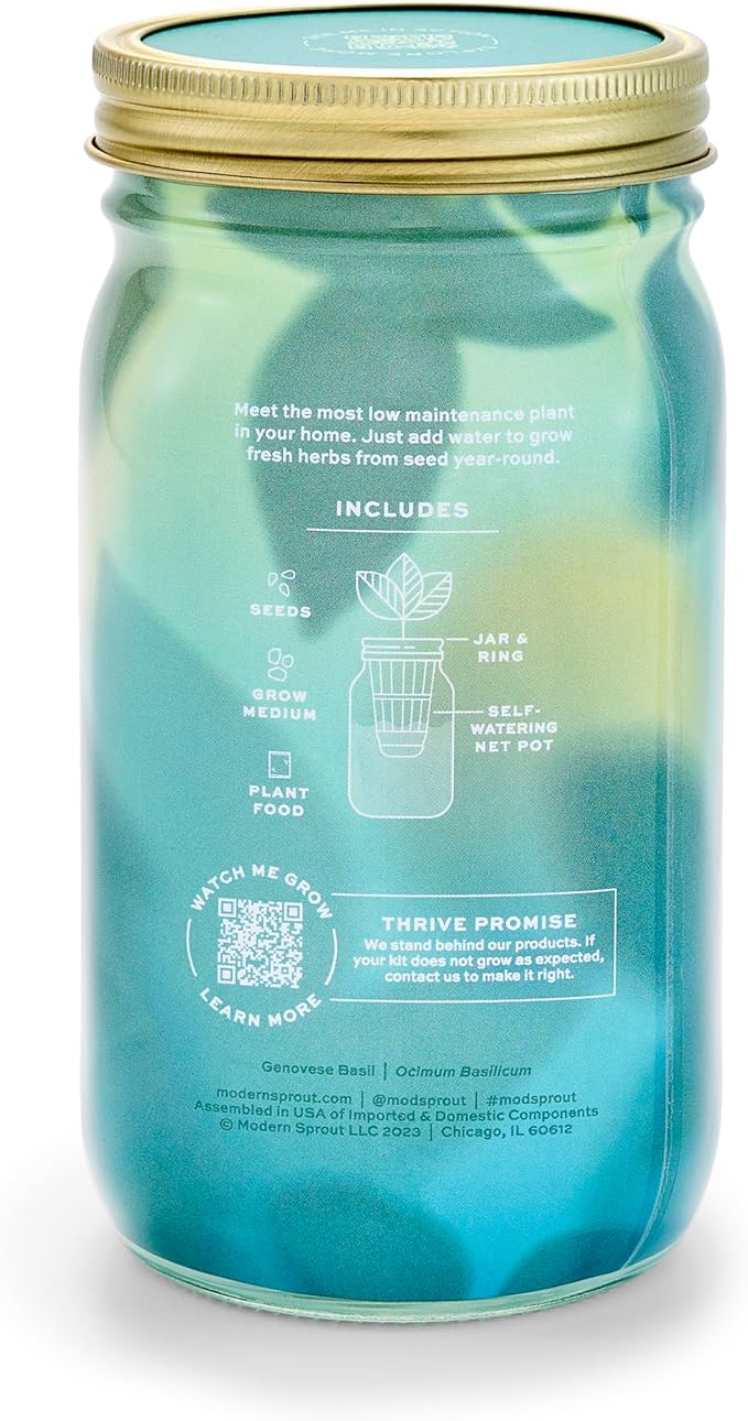 Modern Sprout Mason Garden Jar - Self-Watering Hydroponics Growing System Kit with Organic Herb Seeds - Jar Planter for Indoor Herb Garden - Seed Starter Kit - Home Decor & Gifting - Basil