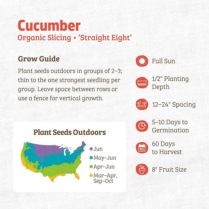 Back to The Roots 100% Organic Heirloom Seeds - Standard Cucumber Value Pack (3g Total)
