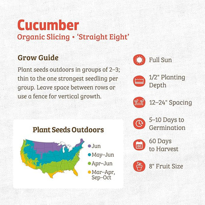 Back to The Roots 100% Organic Heirloom Seeds - Standard Cucumber Value Pack (3g Total)