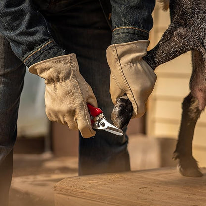 Wells Lamont 3-Pack Leather Work Gloves Men, Heavy Duty Leather Gloves for Men, Beige, Medium (1130MF)