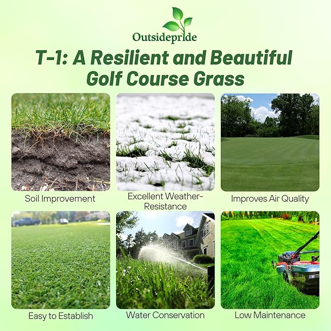 Outsidepride T-1 Creeping Bentgrass Seed - 25 lbs Fine-Bladed, Premium Quality Turf, Grass Seed for Smooth Surface, & High-Traffic Areas, Ideal Grass for Golf Courses Putting Greens, & Fairways