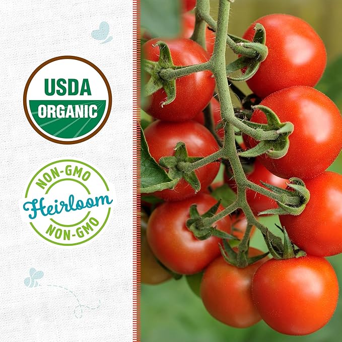 Back to The Roots 100% Organic Heirloom Seeds - Cherry Tomato Value Pack (200mg Total)