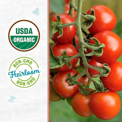 Back to The Roots 100% Organic Heirloom Seeds - Cherry Tomato Value Pack (200mg Total)