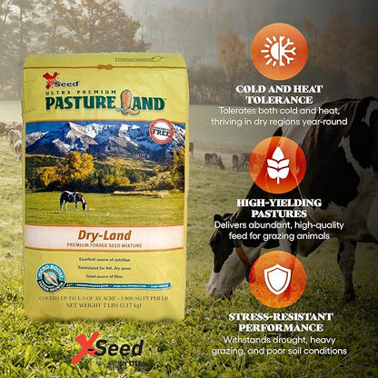 X-Seed Pasture Land Dry-Land Forage Seed Mixture with Micro-Boost – Tall Fescue Orchard Grass Ryegrass Endophyte Free Pasture for Safe Nutrition of Livestock, Formulated for Dry Areas – 7-Pound Bag