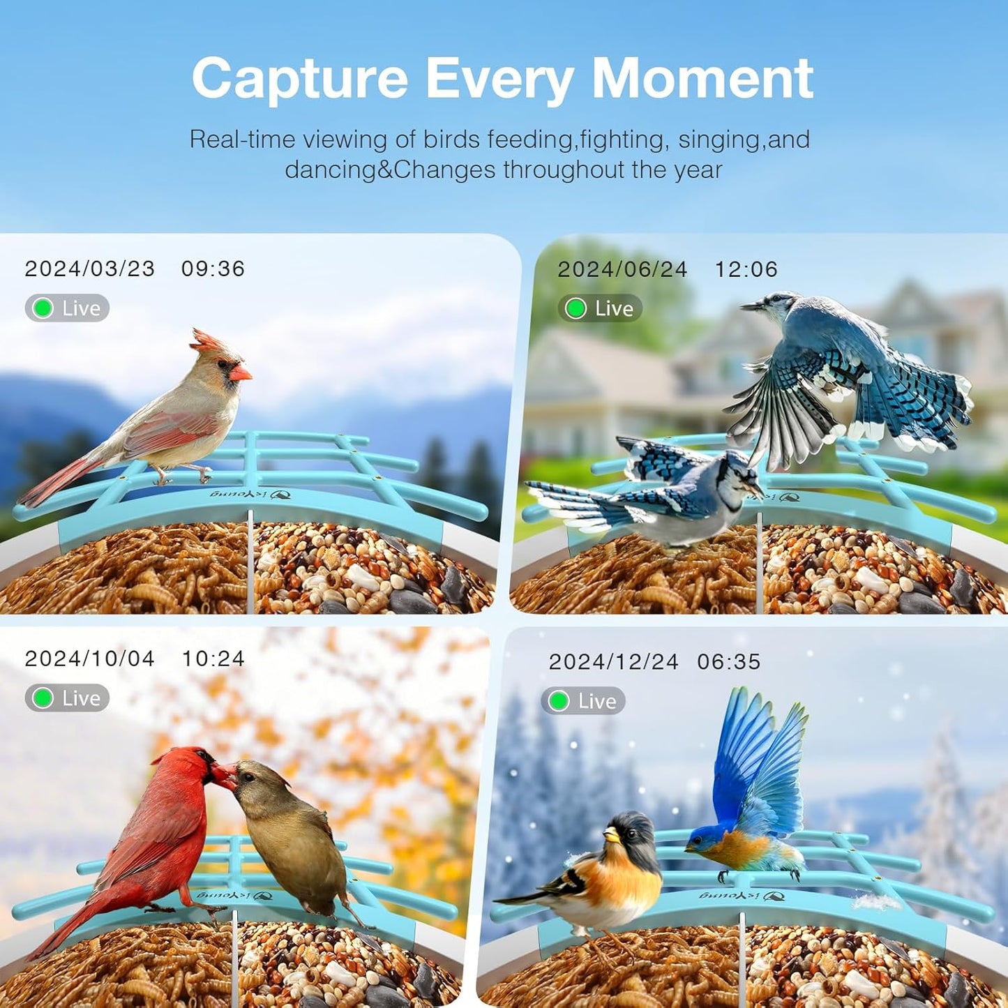 Smart Bird Feeder with Camera, 2K HD, Dual Granary, AI Identify 16,000+ Birds, Auto-Capture, Motion Detection, 5W Solar, 170° Wide View, Ideal Gift for Birds Lovers, Outdoor Bird Watching.