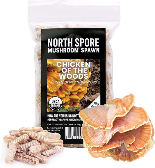 North Spore Organic Chicken of The Woods (100 ct) Mushroom Plugs for Logs | Premium Mushroom Plug Spawn | Handmade in Maine, USA | Grow Gourmet Mushrooms Outdoors on Logs | Laetiporus sulphureus
