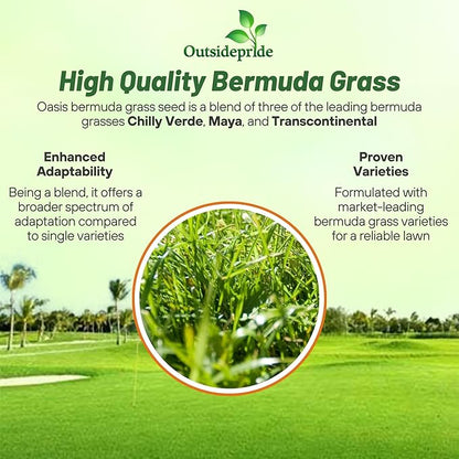 Outsidepride Oasis Bermuda Grass Seed - 10 lbs Warm Season, High Traffic, Heat Resistant, Drought-Tolerant, Low-Maintenance, Fast Growing Turf Grass for Lawn, Ideal for Sunny Areas, Thick Coverage