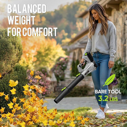 Steelite Leaf Blower Cordless with 2 Battery and Charger, 20V Electric Leaf Blowers, Lightweight Handheld Blower for Lawn Care, Patio, Garden, Grey and Green