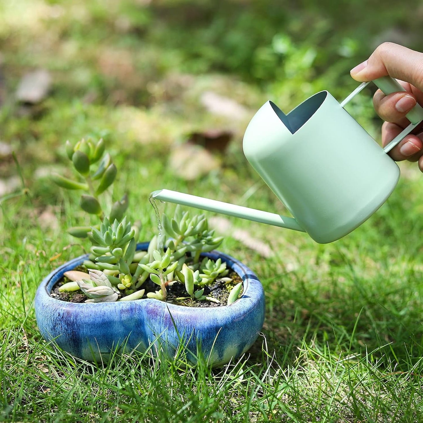 Mini Watering Can, 10oz/300ml Stainless Steel Long Spout Small Watering Can for Indoor Plants Succulents, Herbs (Green)