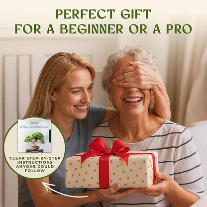 AVERGO Bonsai Tree Kit for Beginners – 5X Unique Japanese Bonzai Trees | Complete Indoor Starter Kit for Growing Bonsai Plants with Tools & Planters – Gardening Gifts for Women & Men