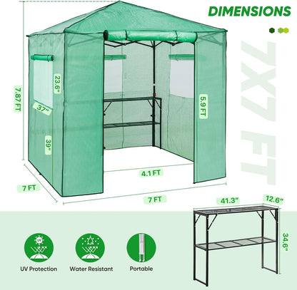 EAGLE PEAK 7x7 Pop up Greenhouse Portable Walk-in Outdoor Gardening Green House with 2 Foldable Shelves, Roll-up Zipper Entry Door and 3 Mesh Windows, PE Cover, Green/Clear