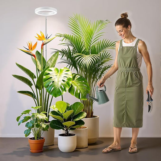 White Grow Light, Full Spectrum LED Plant Lights for Indoor Growing with 6/12/16H Timer, 3 Color Modes, 5 Brightness, 10"-65" Height Adjustable Plant Grow Lamp for Large Indoor Plants